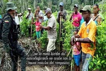 narcotrafico y su impacto en el campo