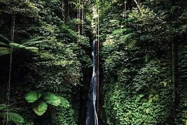 Catarata jigsaw puzzle