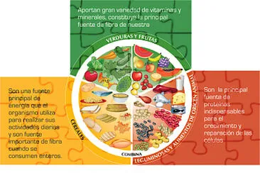 פאזל של los 5 grupo de alimentos