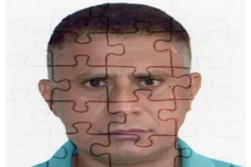 Raimundo Nonato jigsaw puzzle