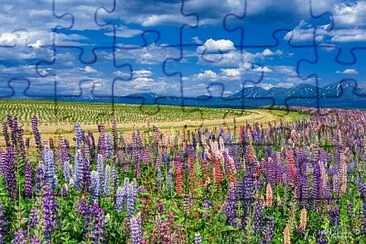 imagem jigsaw puzzle