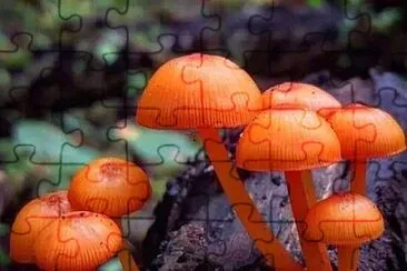 imagem jigsaw puzzle