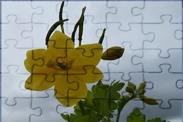 imagem jigsaw puzzle