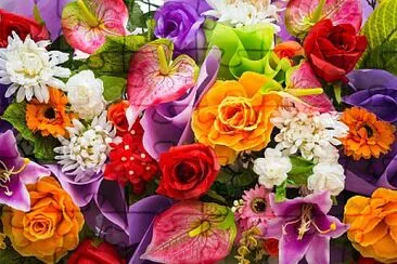 פאזל של Fleurs de toutes les couleurs