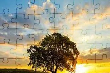 arbol jigsaw puzzle