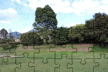 Media torta jigsaw puzzle