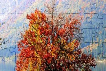 arbol jigsaw puzzle