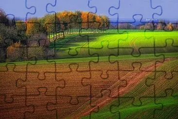 arbol jigsaw puzzle