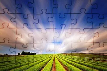 arbol jigsaw puzzle