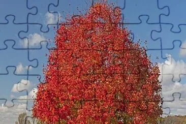 arbol jigsaw puzzle