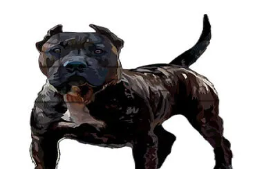 PRESA CANARIO jigsaw puzzle