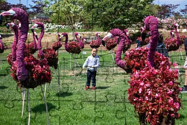 Topiary flamingoes