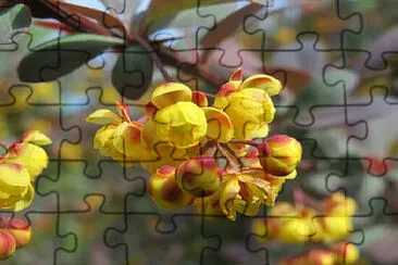 1 jigsaw puzzle