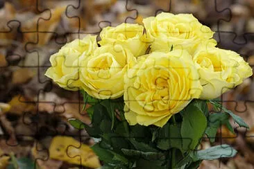 OK jigsaw puzzle