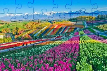 imagem jigsaw puzzle