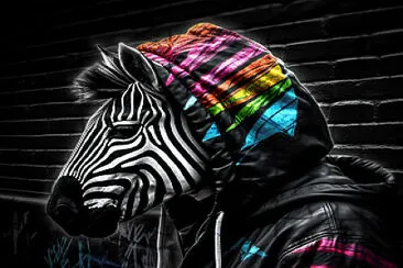 Zack - The Troubled Zebra