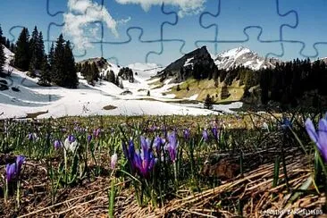 La Chapelle d 'Abondance jigsaw puzzle