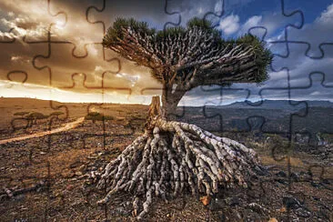 imagem jigsaw puzzle