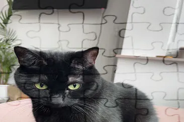 Charlie jigsaw puzzle