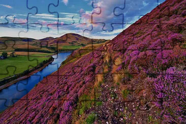 1 jigsaw puzzle