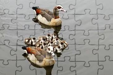 FAMILY QUA QUA jigsaw puzzle