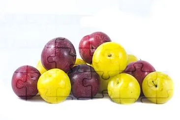 FRUIT GNAM GNAM jigsaw puzzle