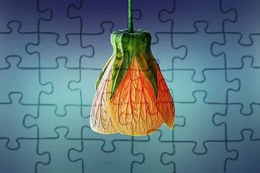 CAMPANELLA jigsaw puzzle