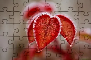 FOGLIE ROSSE jigsaw puzzle