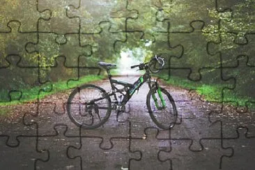 1 jigsaw puzzle