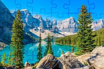 Bonito jigsaw puzzle