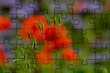 colori pastello 2 jigsaw puzzle