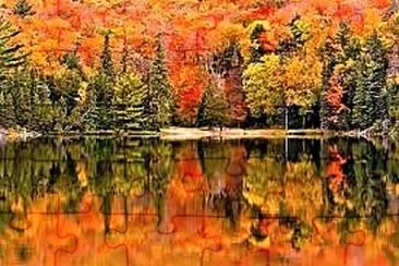 autumn #288 jigsaw puzzle