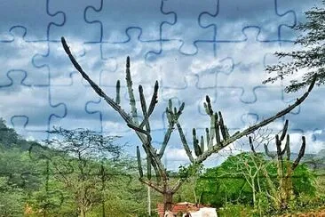 imagem jigsaw puzzle