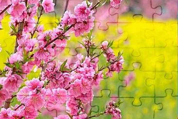 token jigsaw puzzle