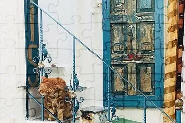 Gatos jigsaw puzzle