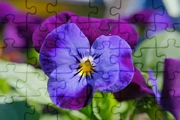 OK jigsaw puzzle