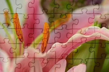 OK jigsaw puzzle