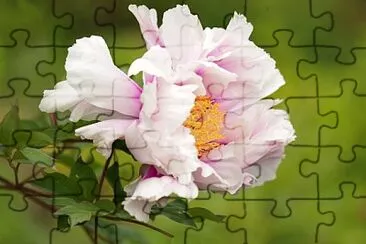 OK jigsaw puzzle