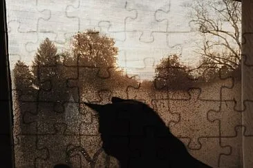 Gato jigsaw puzzle