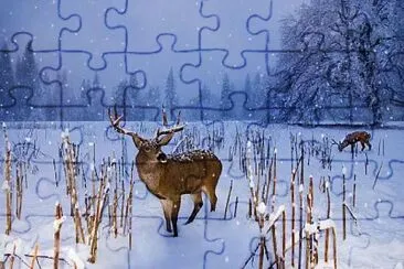 imagem jigsaw puzzle