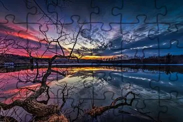 LI jigsaw puzzle