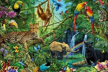 Animales selva jigsaw puzzle