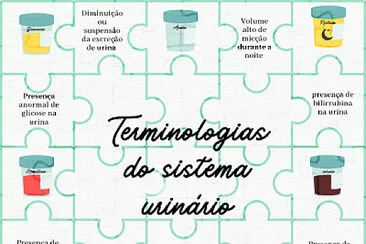 Terminologias do sistema urinário