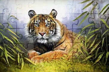 Tigre jigsaw puzzle