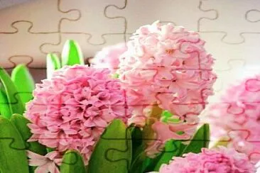 Fiori jigsaw puzzle