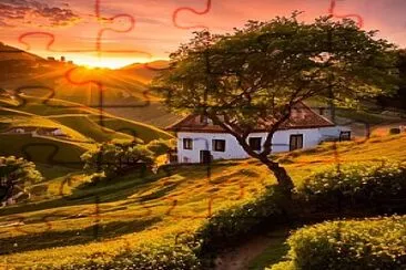 Atardecer jigsaw puzzle