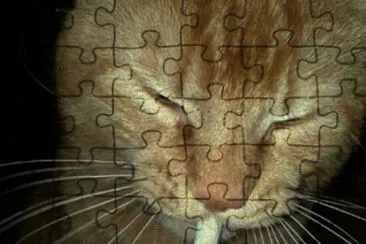 chilling jigsaw puzzle