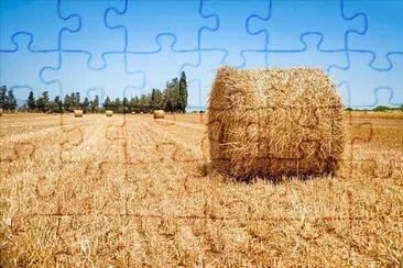 Puglia jigsaw puzzle