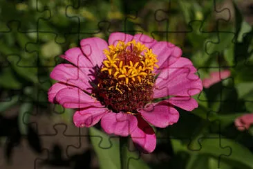 OK jigsaw puzzle