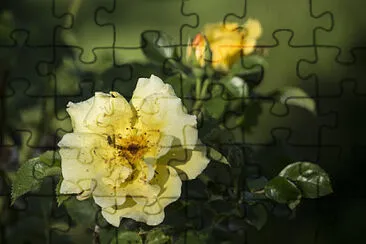 OK jigsaw puzzle